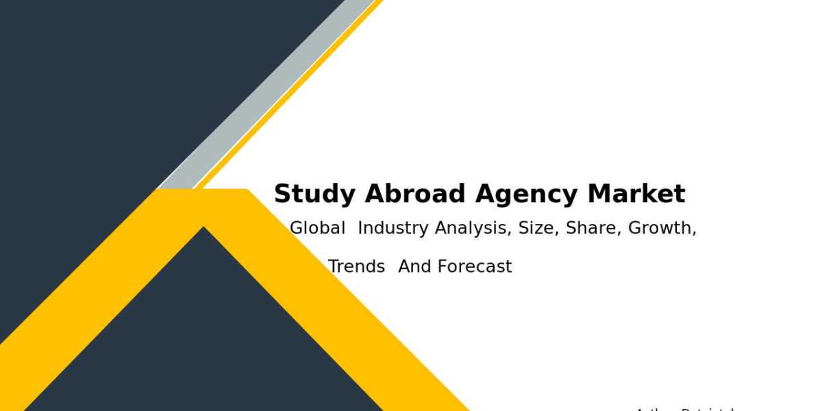 Study Abroad Agency Market Trends and Key Growth Insights 2032