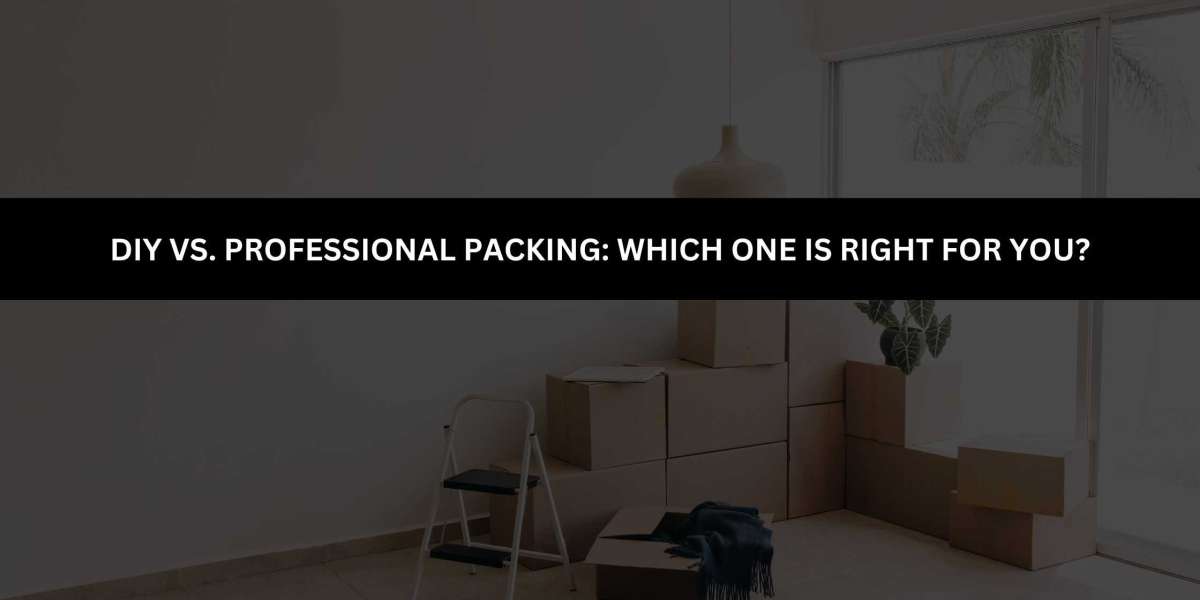 DIY vs. Professional Packing: Which One Is Right for You?