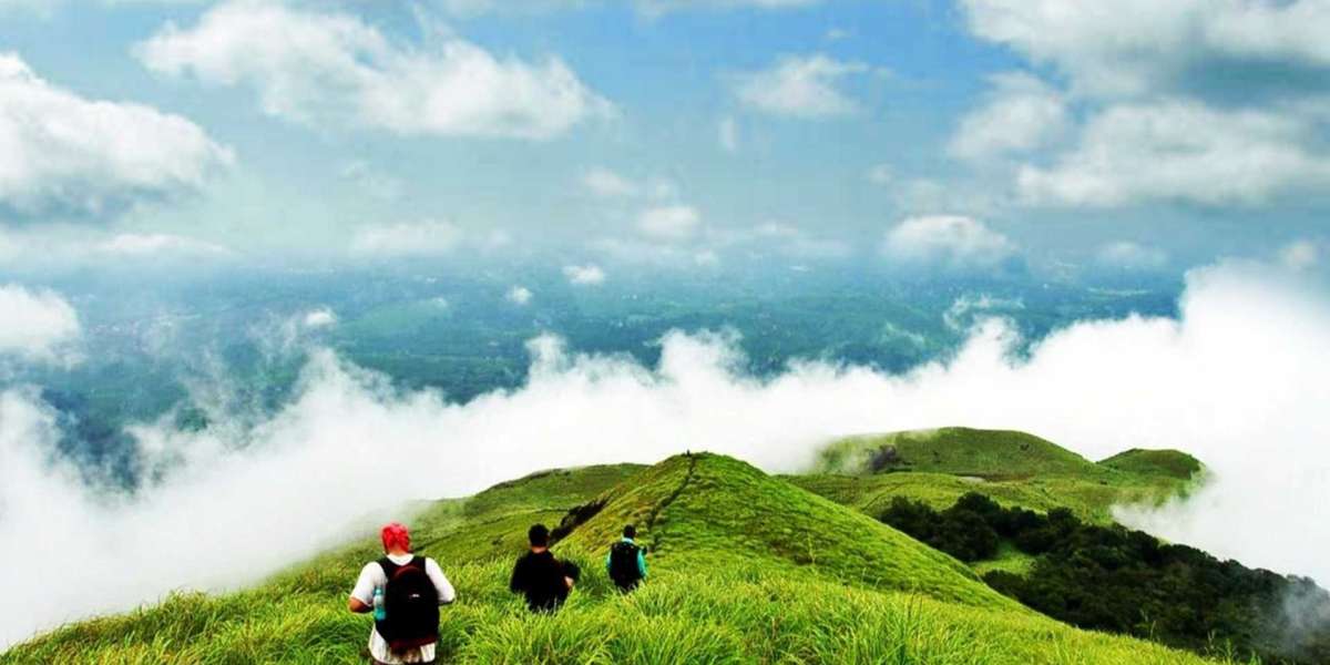 Explore Mysore Ooty Coorg with Our Best Tour Package