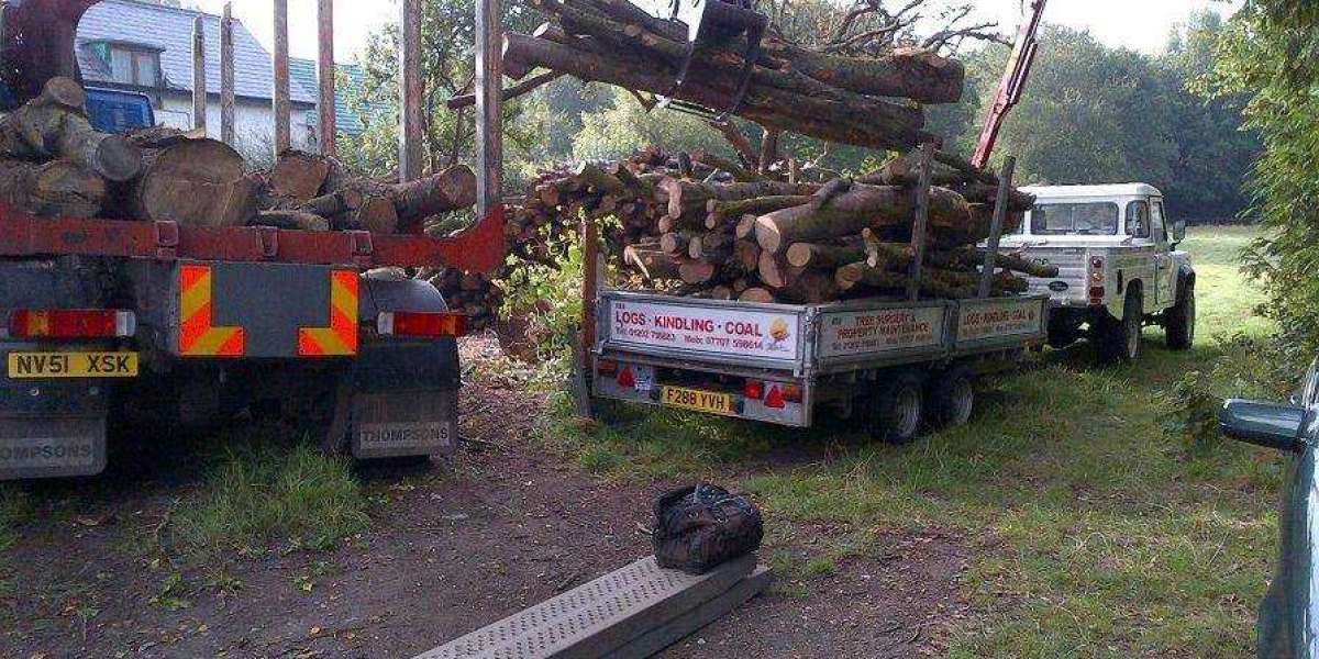 Top Log Suppliers in Bournemouth – Premium Logs for Sale