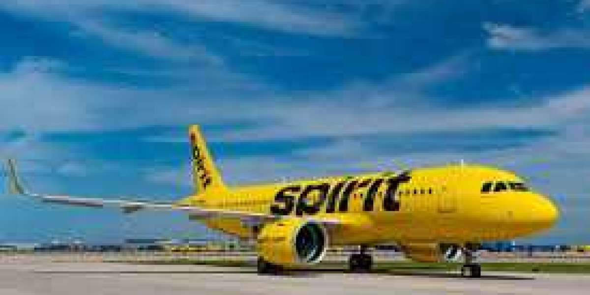 Spirit Airlines DFW Terminal