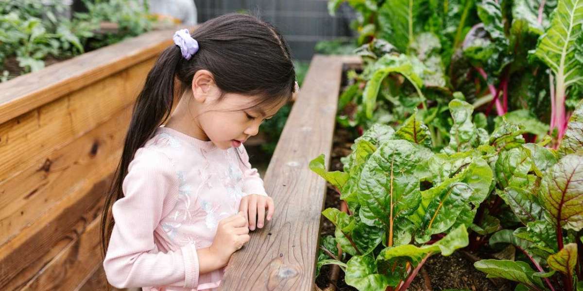 Outdoor Learning for Students: Benefits and Practical Tips