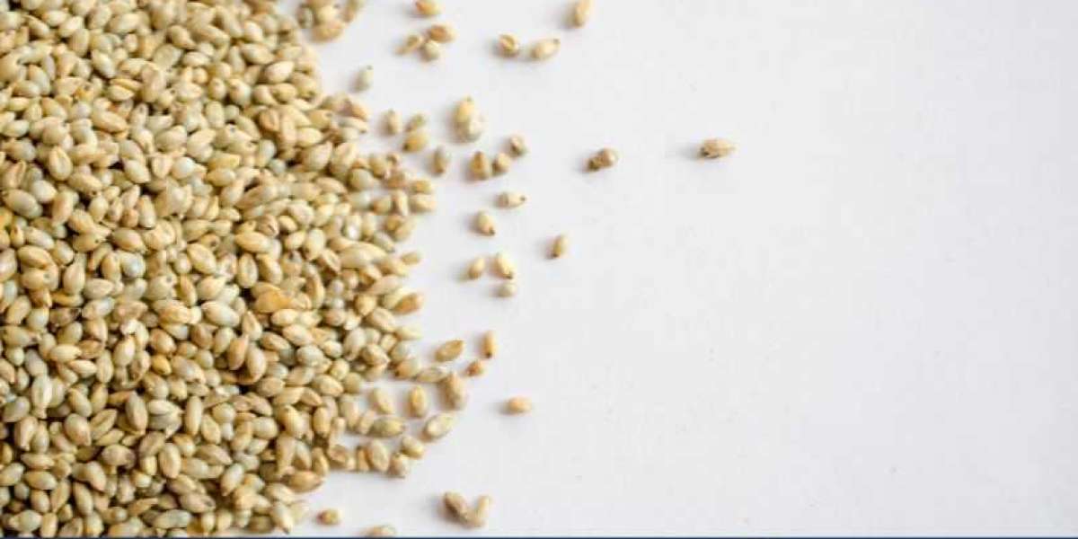 Millet Seeds Market Size, Share, Trends and Forecast | 2034