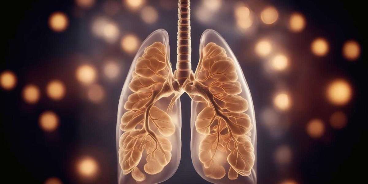 Innovation and Research in the Bronchiectasis Treatment Market