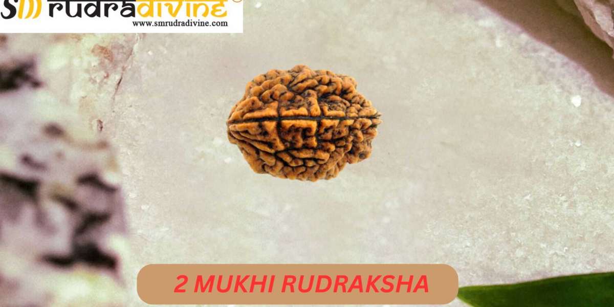 The Rare Gem: Benefits and Significance of Nepali 2 Mukhi Rudraksha