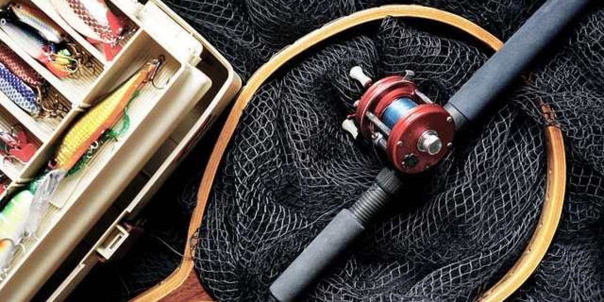 Assassin Edgesurf Spin Rods: A Comprehensive Guide to Pairing with Kamatsu Hooks