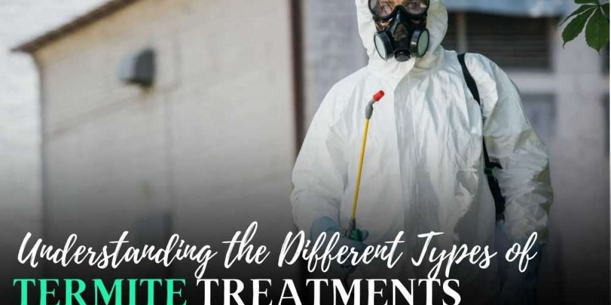 Understanding the Different Types of Termite Treatments: Which is Right for You?