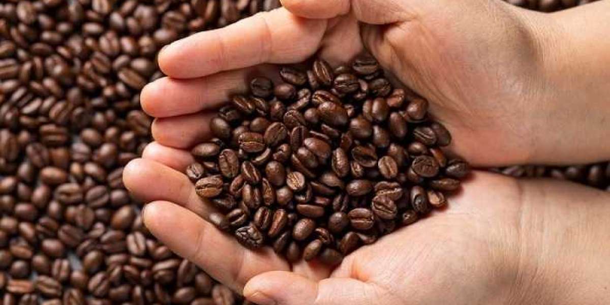 Which coffee beans to choose