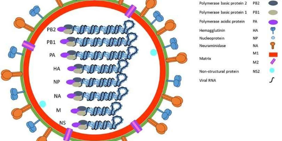 Creative Diagnostics Launches Advanced Influenza A Virus Mouse Models for Accelerated Research