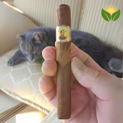 Bolivar Petit Coronas Profile Picture