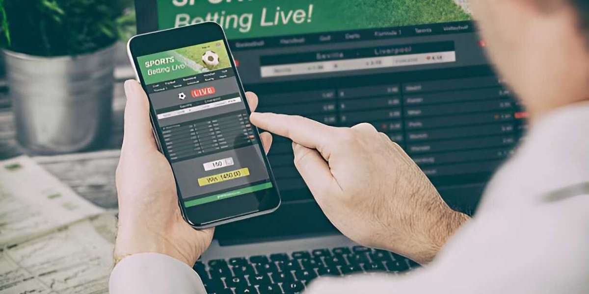 PalmerBet Review: A Bettor's Experience