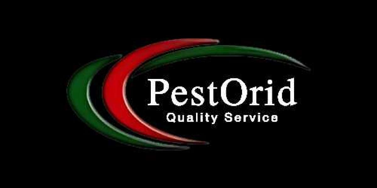 Pest Control Kitchener Ontario: Effective Solutions for a Pest-Free Environment