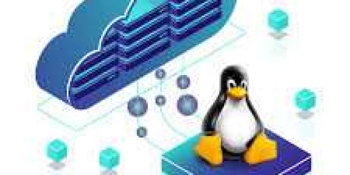 Linux-Based VPS Hosting: A Game-Changer for Online Success