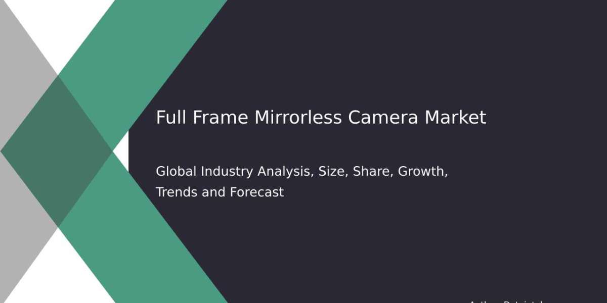 Key Market Players & Growth Opportunities in Full Frame Cameras