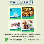 Fair Lab