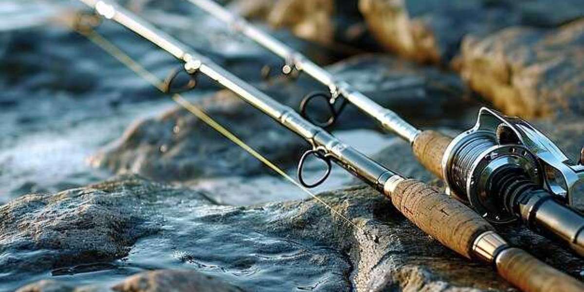 Daiwa Megaforce Spin Rods and Okuma Hakai Reels: A Perfect Combo for Catching Fish Year-Round