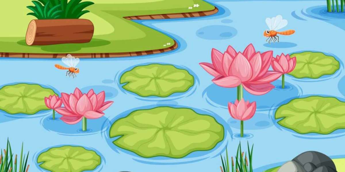 Common Mistakes When Growing Water Lilies