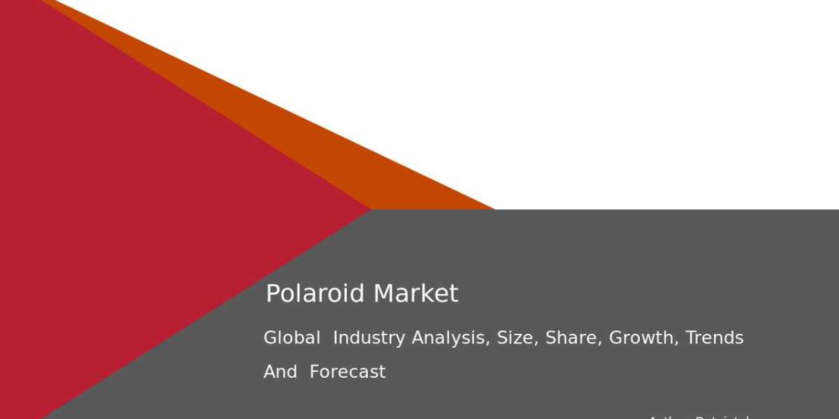 Polaroid Market Key Insights & Future Growth Analysis 2032