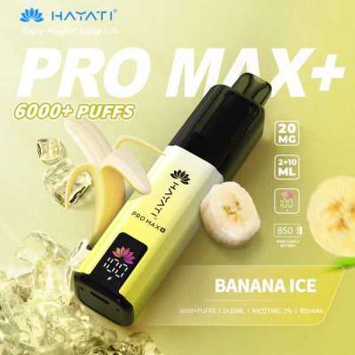 Hayati Pro Max Plus 6000 Puffs Disposable Vape Regular price £8.99 Profile Picture