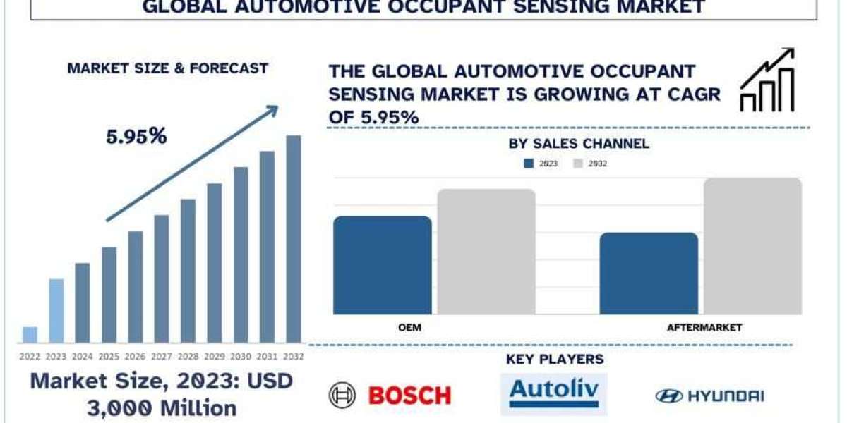 Automotive Occupant Sensing Market Analysis by Growth, Trends & Research Report (2024-2032)