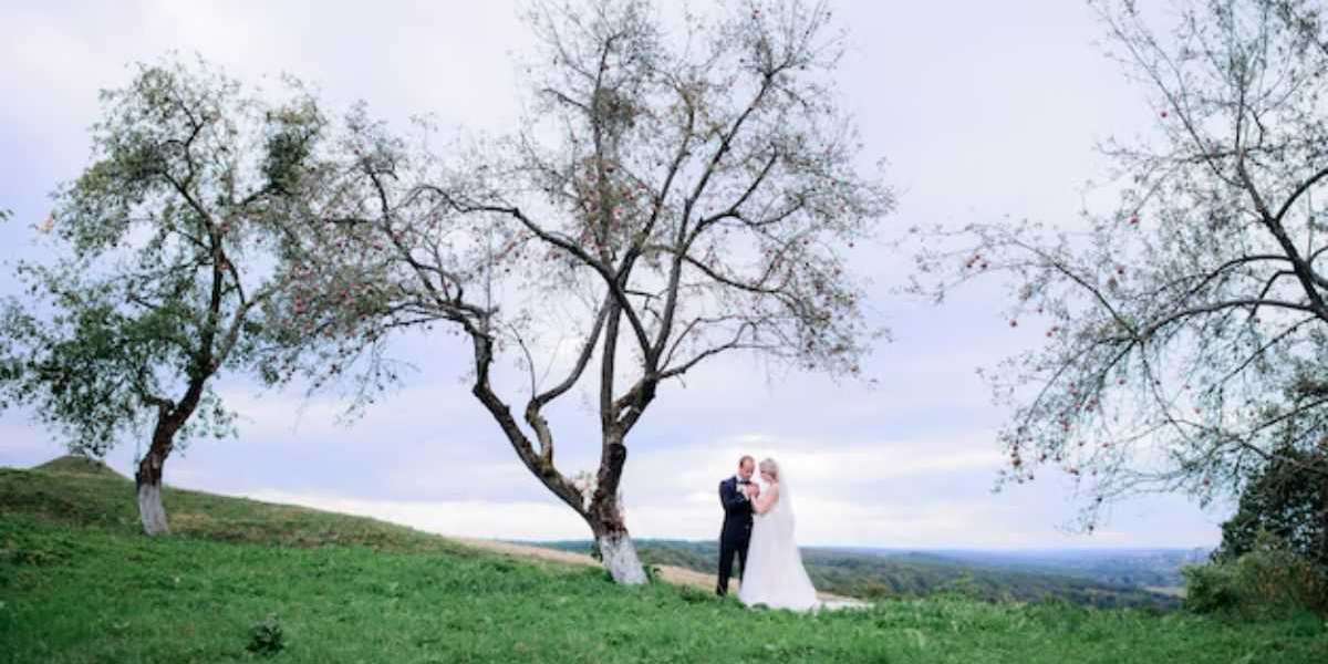 Adelaide Hills Wedding Photographer: Capturing Timeless Love Stories