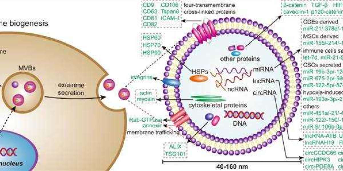 Exosome Extraction Kits to Support Exosome Research