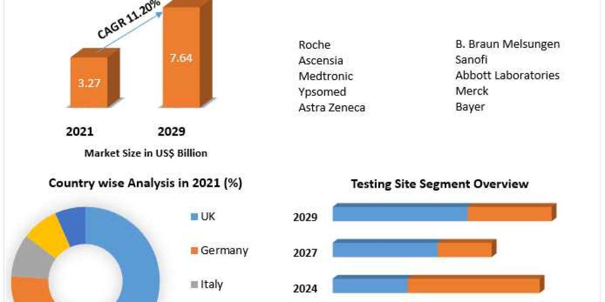 Europe Blood Glucose Monitoring System Market Size and Revenue Forecast to 2029