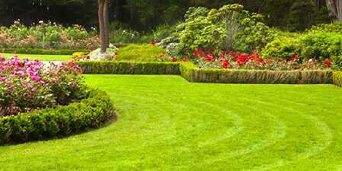 Professional Garden Maintenance for a Healthy, Lush Yard