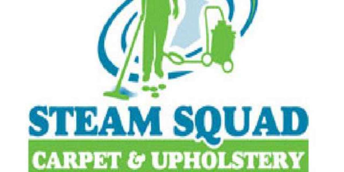 Steam Squad | All-Natural Cleaning and Stain Protection Experts