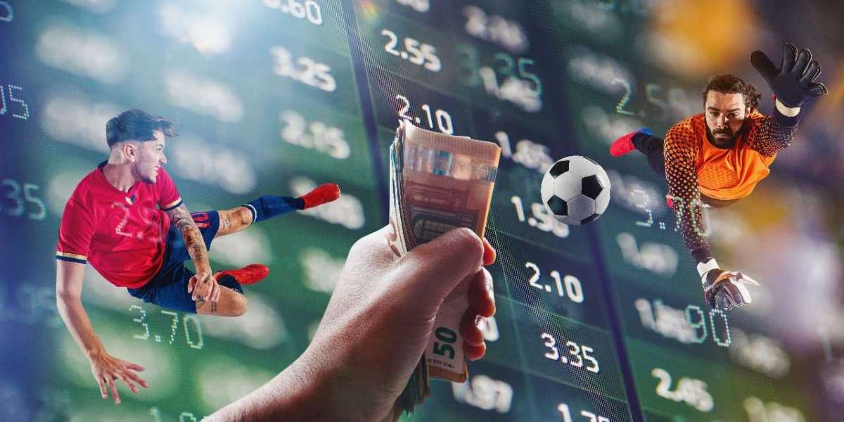 The Role of Sports Betting APIs in Custom Software Development