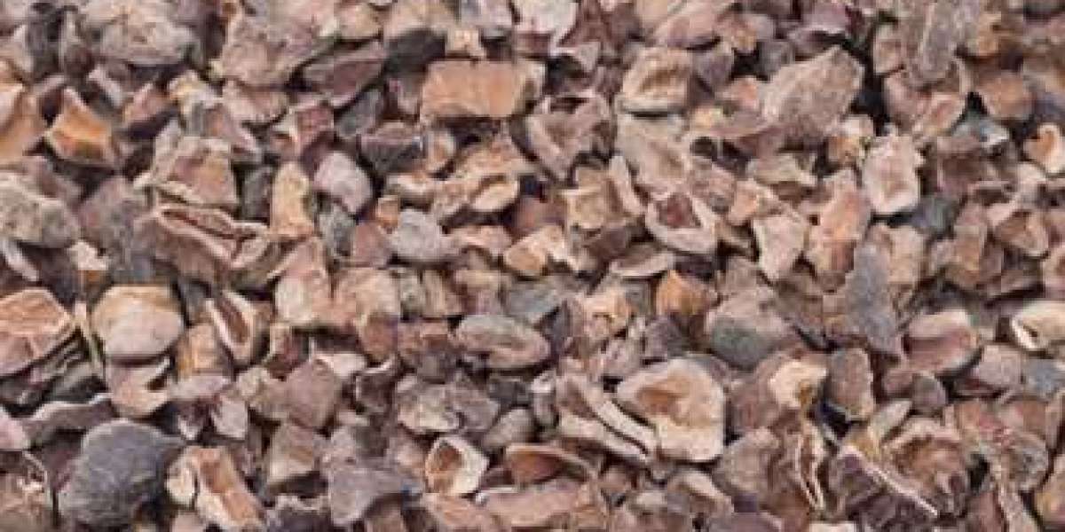 Why Cacao is a Superfood You Need for Better Health and Wellness