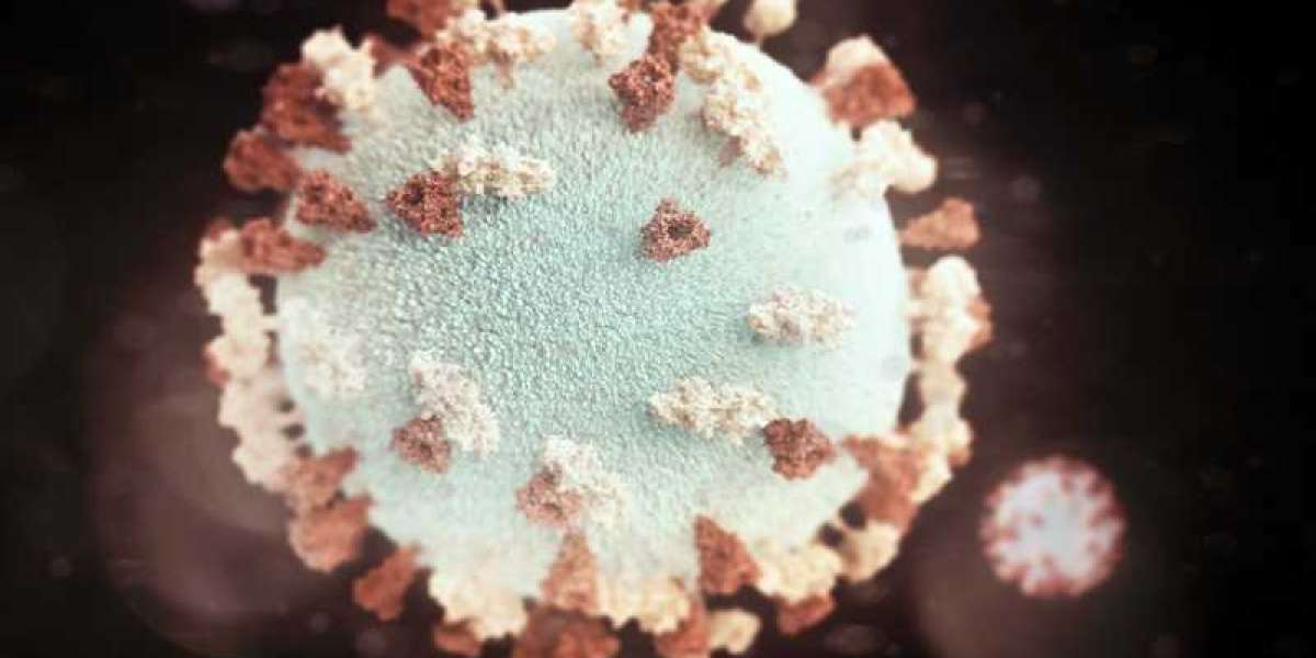 Relationship between T cell glycans and immune diseases