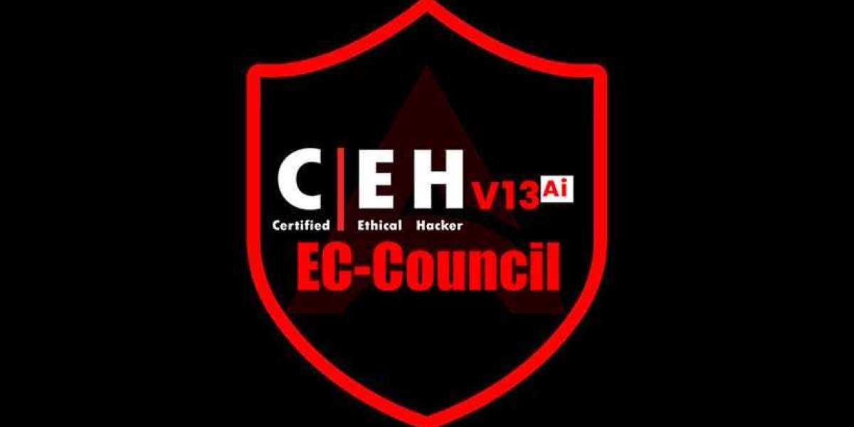 Learn Ethical Hacking from Home: Online Training in Pune