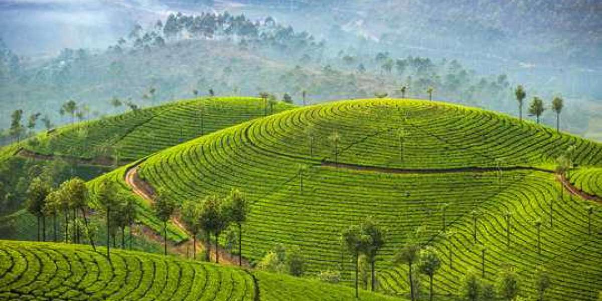 Kolkata To Darjeeling Taxi Fare