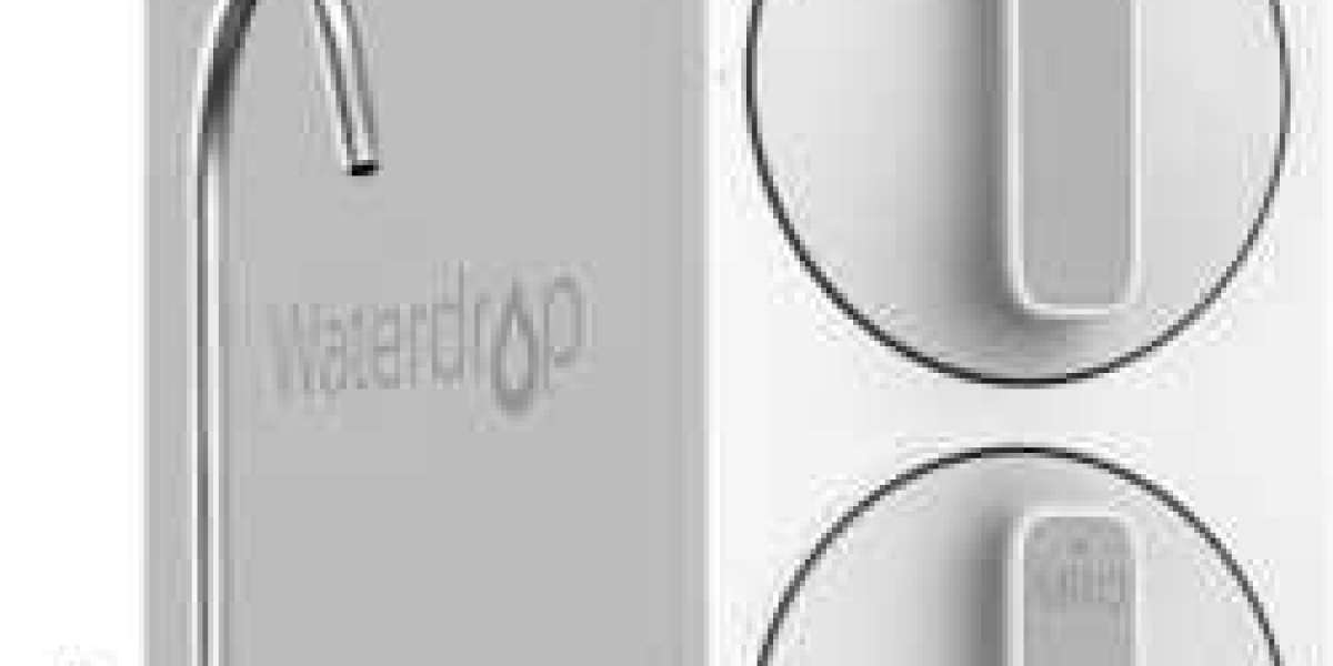 Discover Which Water Purifier Is Right For You