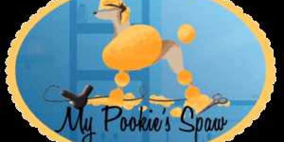 Same Day Dog Grooming Orange: Luxury Mobile Pet Care with My Pookie’s Spaw