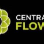 Central City Flowers