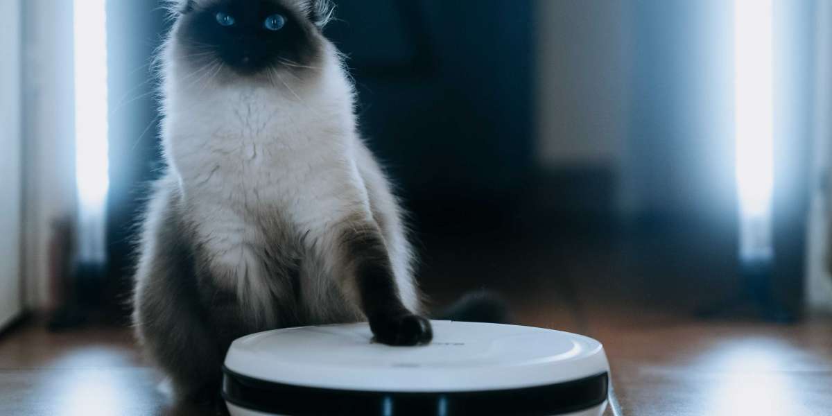 9 Things Your Parents Taught You About Best Robovac