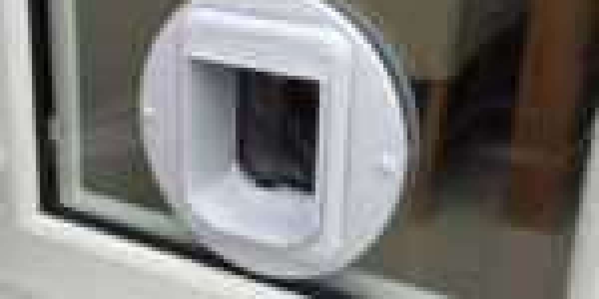 25 Amazing Facts About Cat Flap Installer