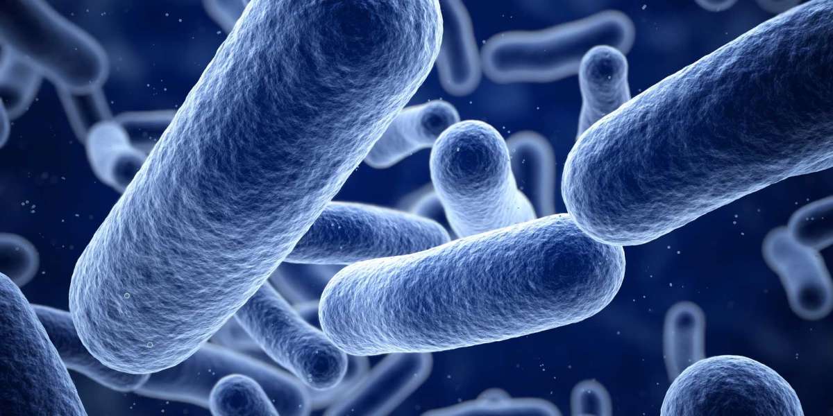 Can Bacterial Infections Be Treated Without Antibiotics?