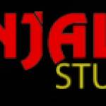 Anjalis Studio
