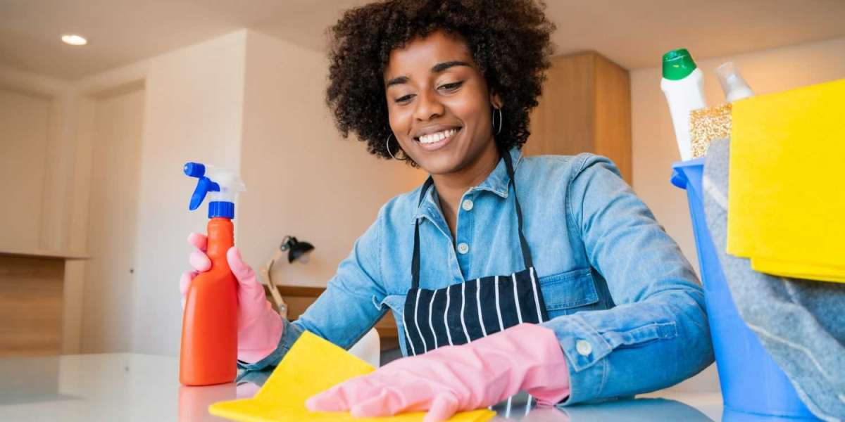 Orlando's Clean Dream Team: Premier Home Cleaning Services