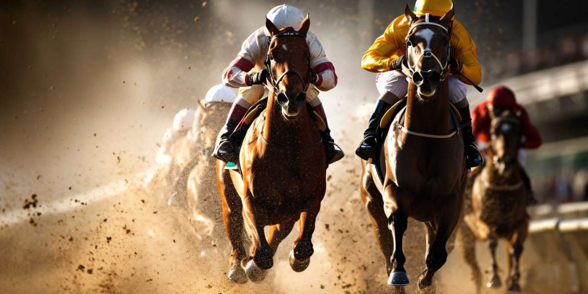 Understanding Rodeo Sports Network: A New Era for Western Sports