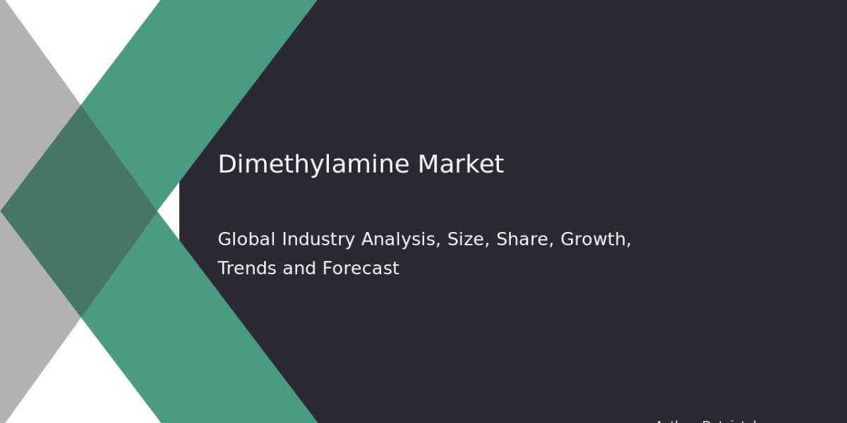 Dimethylamine Market Share by Country and Forecast 2032