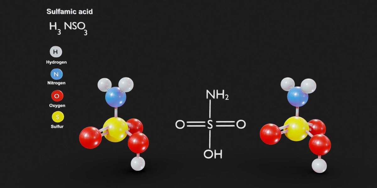 Sulfamic Acid Market Growth: Insights and Future Outlook