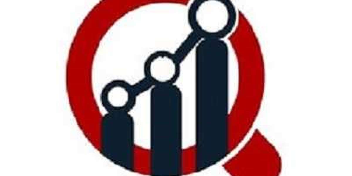 The U.S. Cheese Market Outlook: Innovation, Imports, and Consumer Demand