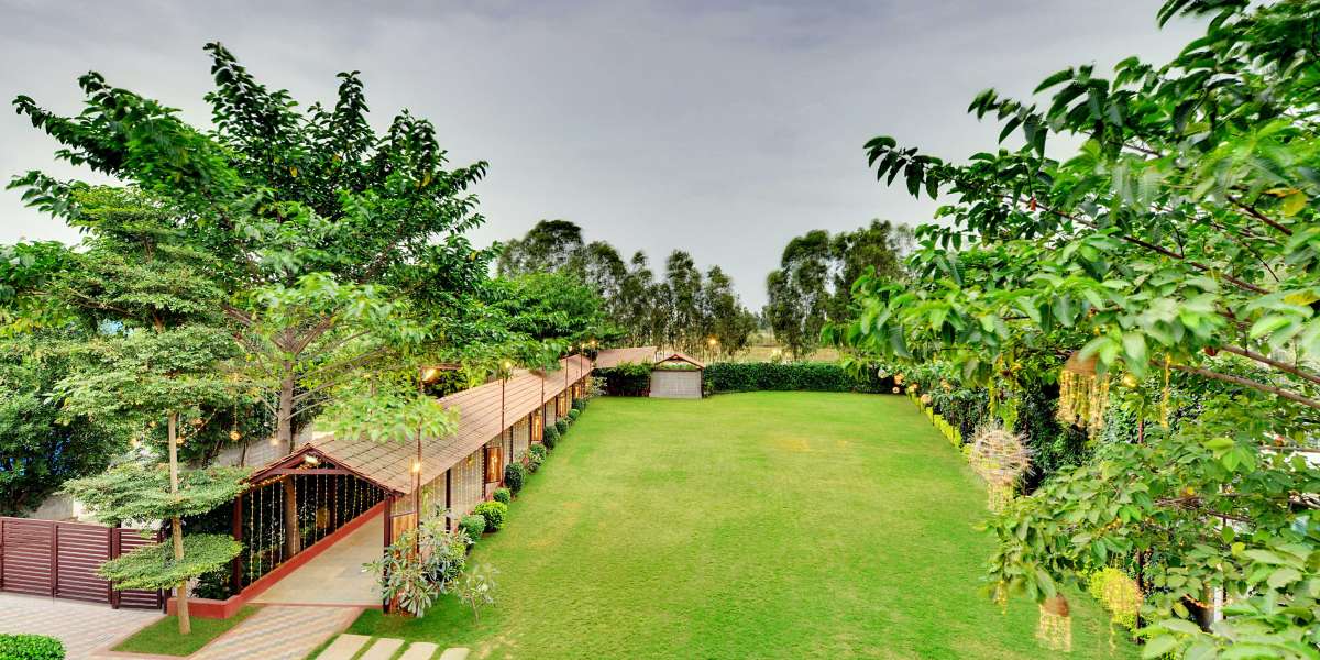 Top Birthday Venues in Bangalore: Celebrate Your Special Day in Style