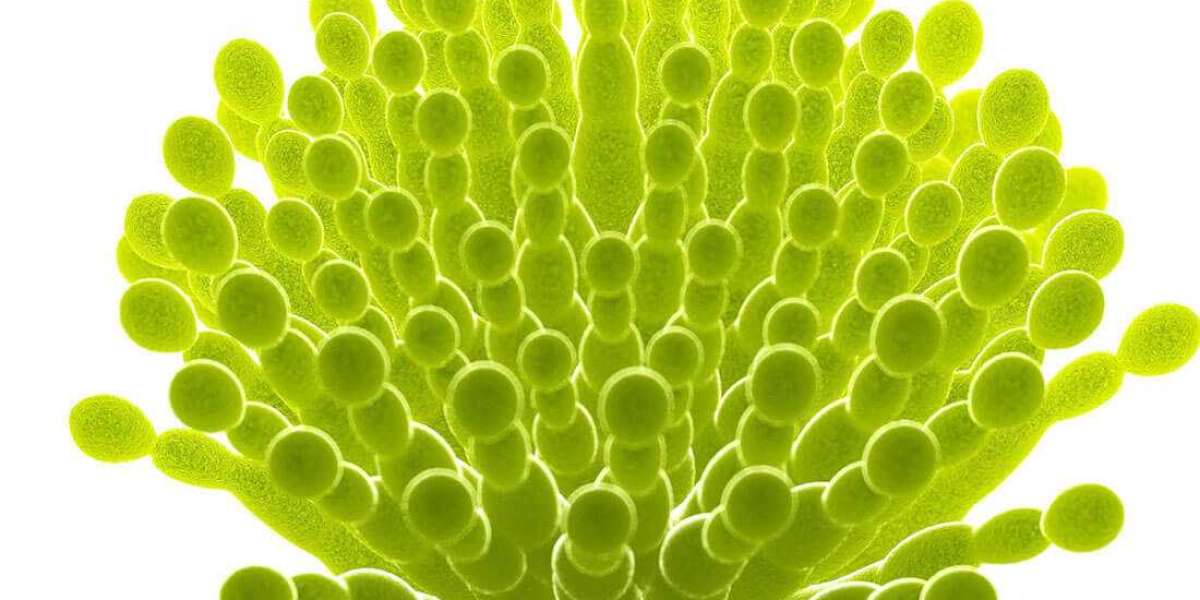Creative Diagnostics Introduces New Line of Diacetoxyscirpenol Test Reagents