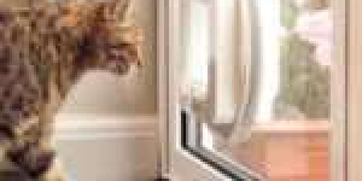 Will Top Cat Flap Installer Ever Rule The World?
