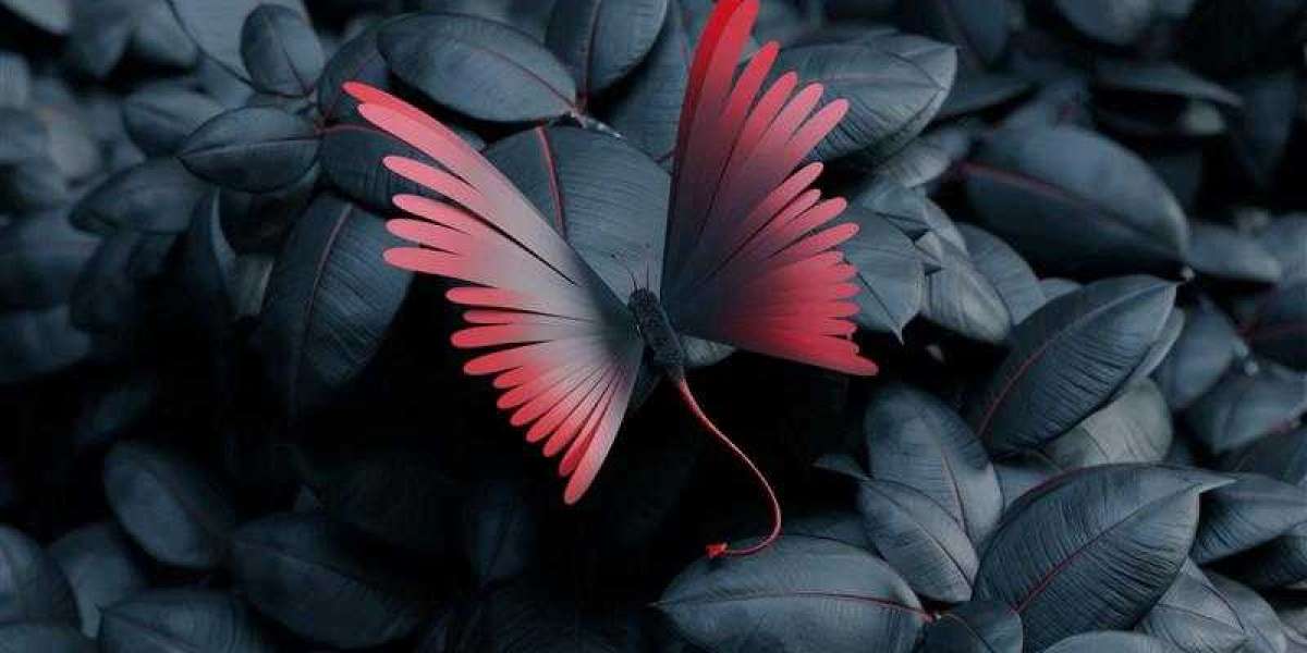 The Artistic Vision of Junji Lim: A Rising Creative Force
